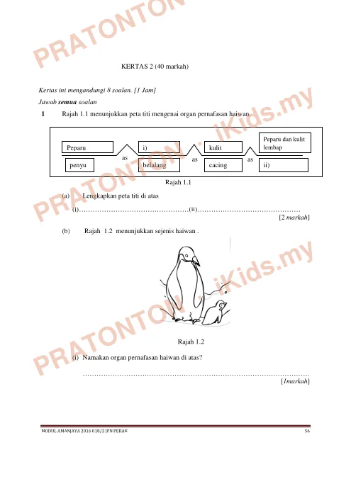 Pratonton muka 1 lembaran Modul Sains 2 — Sains Tahun 4