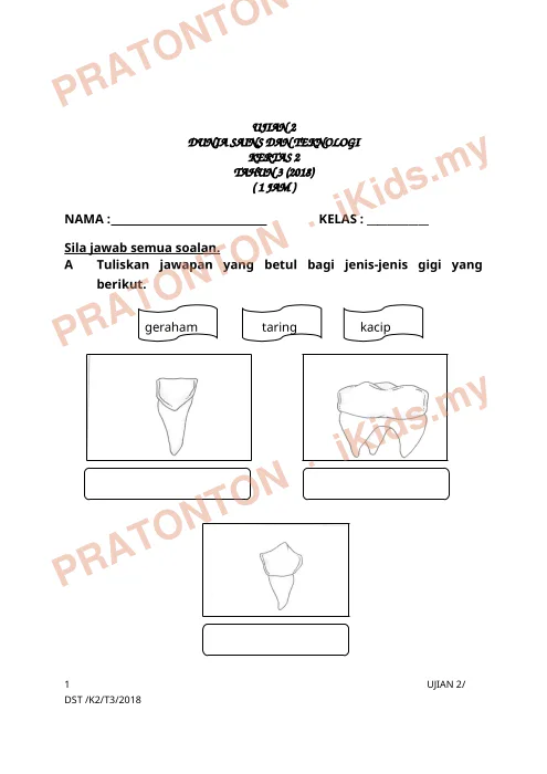 Pratonton muka 1 lembaran Modul Sains 1 — Sains Tahun 3