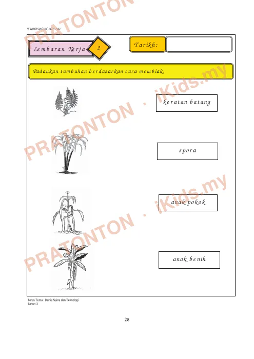 Pratonton muka 34 lembaran Modul Sains — Sains Tahun 3