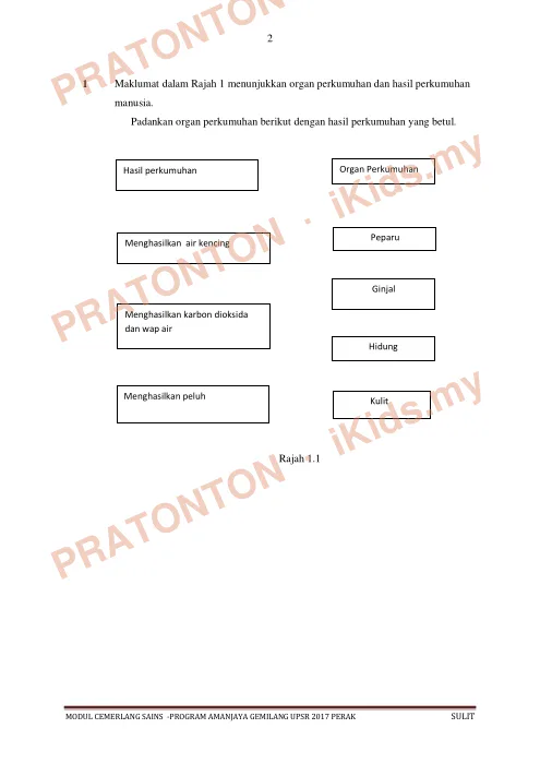 Pratonton muka 1 lembaran Modul Sains Tahun 4 — Set 2: Organ Perkumuhan — Sains Tahun 6