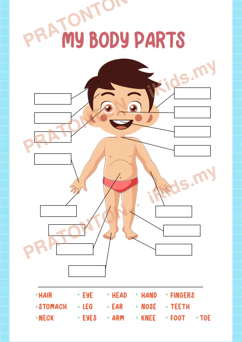 Pratonton muka 1 lembaran My Body Parts Boy — Sains Anak Istimewa