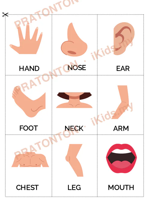 Pratonton muka 2 lembaran My Body Parts Girl — Sains Anak Istimewa