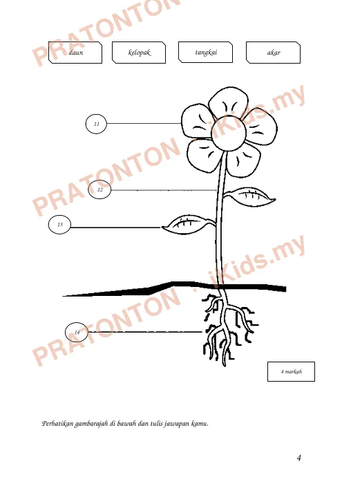 Pratonton muka 4 lembaran Nama :…………………………………………………………………… — Sains Tahun 1