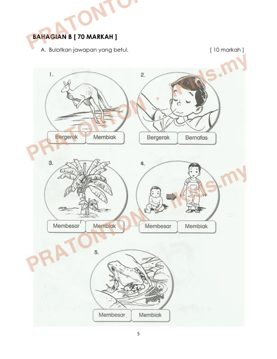 Pratonton muka 5 lembaran Nama………………………………………… — Sains Tahun 1