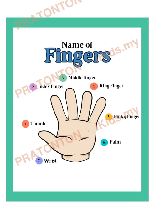 Pratonton muka 1 lembaran Nama Jari Dan Bahagian Tangan — Sains Anak Istimewa