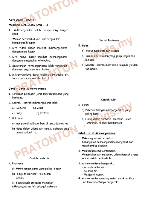 Pratonton muka 1 lembaran Nota Ringkas Sains Tahun 5 — Mikroorganisma — Sains Tahun 5