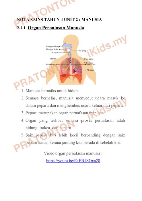 Pratonton muka 1 lembaran Nota Sains 2 — Sains Tahun 4