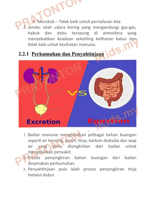 Pratonton muka 7 lembaran Nota Sains 2 — Sains Tahun 4