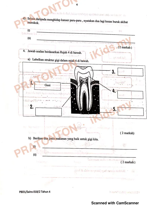 Pratonton muka 5 lembaran Nota Sains 4 — Sains Tahun 4