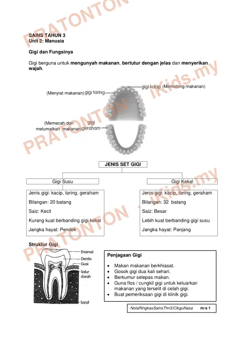Pratonton muka 1 lembaran Nota Sains — Sains Tahun 3