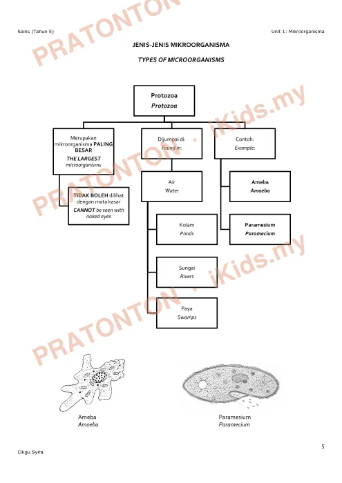 Pratonton muka 5 lembaran Nota Sains Tahun 5 — Unit 1: Mikroorganisma — Sains Tahun 5