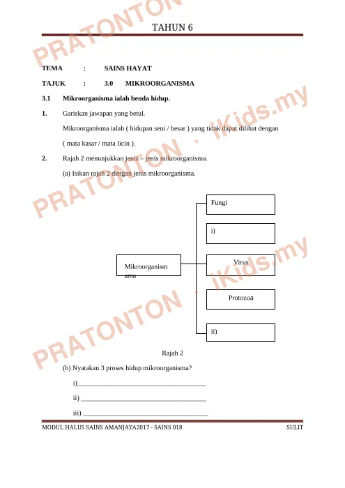 Pratonton muka 1 lembaran Nota Sains Tahun 6 — Sains Hayat: Mikroorganisma — Sains Tahun 6