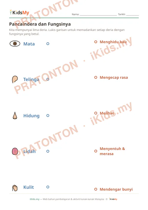 Pratonton muka 1 lembaran Pancaindera dan Fungsinya — Sains Tadika (2-6)