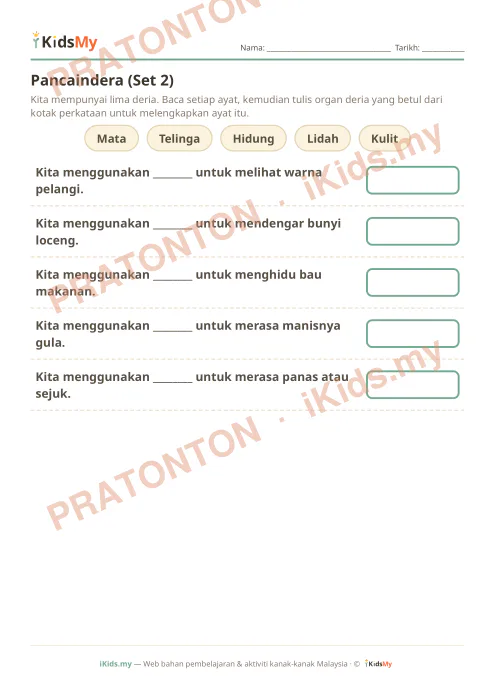 Pratonton muka 1 lembaran Pancaindera (Set 2) — Sains Tahun 1