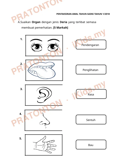 Pratonton muka 1 lembaran PENTAKSIRAN AWAL TAHUN SAINS TAHUN 1/2018 — Sains Tahun 1