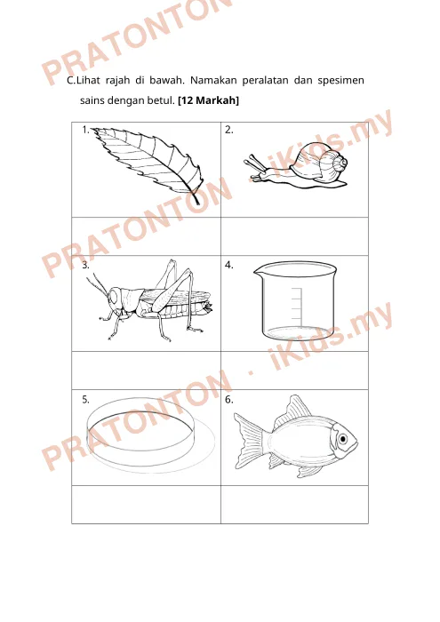 Pratonton muka 5 lembaran PENTAKSIRAN AWAL TAHUN SAINS TAHUN 1/2018 — Sains Tahun 1