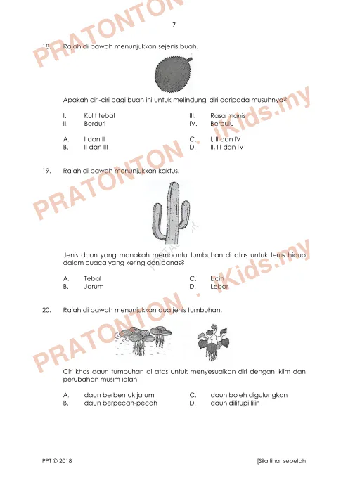 Pratonton muka 7 lembaran Pentaksiran Pertengahan Tahun 2018 — Sains Tahun 5 (Set A) — Sains Tahun 5
