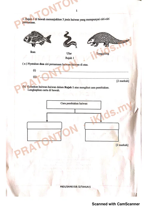 Pratonton muka 1 lembaran Peperiksaan Pertengahan Tahun — Sains Tahun 5 Kertas 2 — Sains Tahun 5