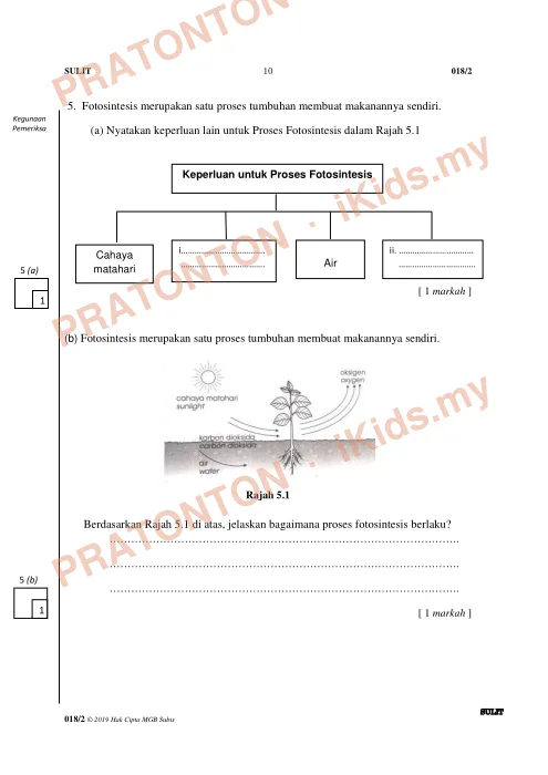Pratonton muka 10 lembaran Percubaan UPSR 2019 Daerah Subis — Sains Kertas 2 — Sains Tahun 6