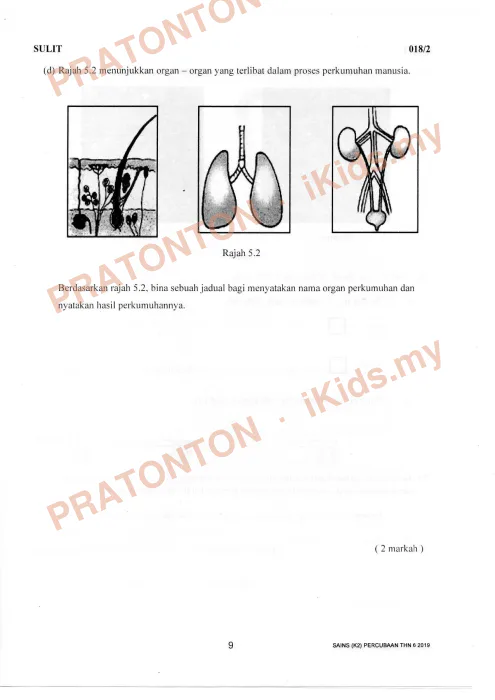 Pratonton muka 9 lembaran Percubaan UPSR Kelantan 2019 — Sains Kertas 2 — Sains Tahun 6
