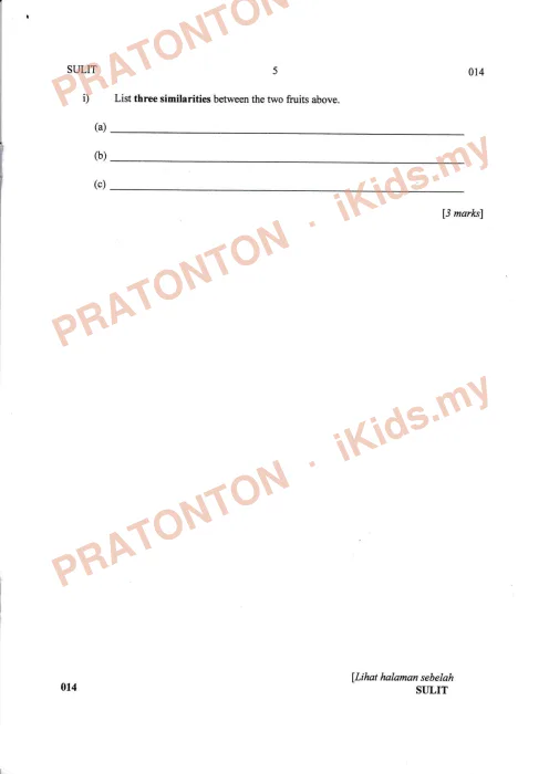 Pratonton muka 5 lembaran Percubaan UPSR Melaka 2019 — Bahasa Inggeris Penulisan — Bahasa Inggeris Tahun 6