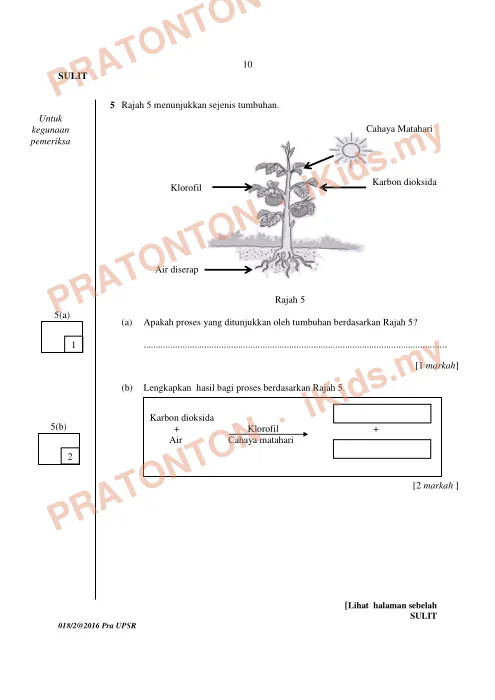 Pratonton muka 9 lembaran Percubaan UPSR Negeri Sembilan — Sains Kertas 2 — Sains Tahun 6