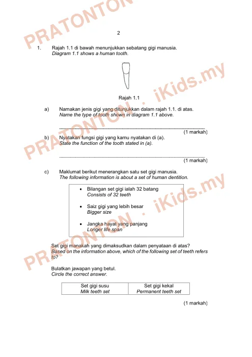 Pratonton muka 1 lembaran Percubaan UPSR Perlis 2019 — Sains Kertas 2 — Sains Tahun 6
