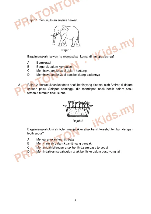 Pratonton muka 1 lembaran Percubaan UPSR Pulau Pinang 2019 — Sains Kertas 1 — Sains Tahun 6