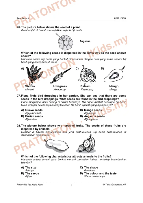 Pratonton muka 7 lembaran PKBS 1 2013 — Sains Tahun 5 (Bahasa Inggeris) — Sains Tahun 5