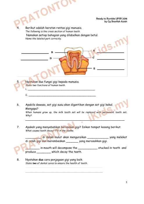 Pratonton muka 3 lembaran Ready to Rumble UPSR 2018 — Sains: Gigi — Sains Tahun 6