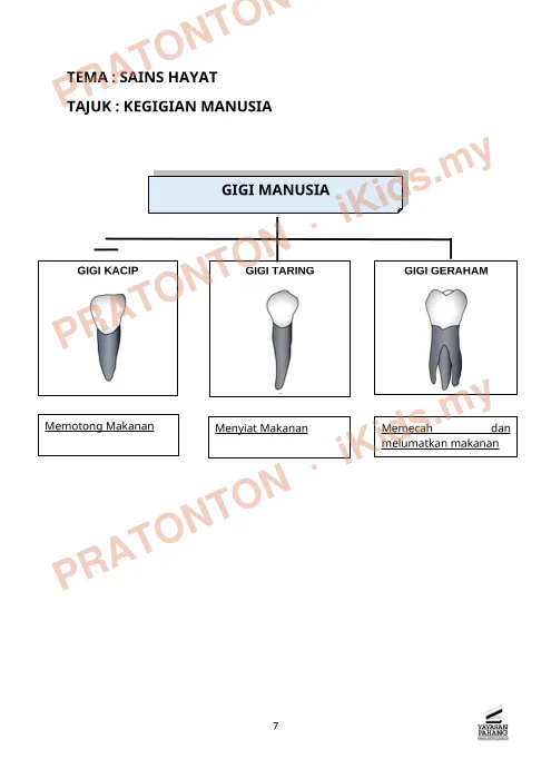 Pratonton muka 1 lembaran Sains Hayat — Sains Tahun 3