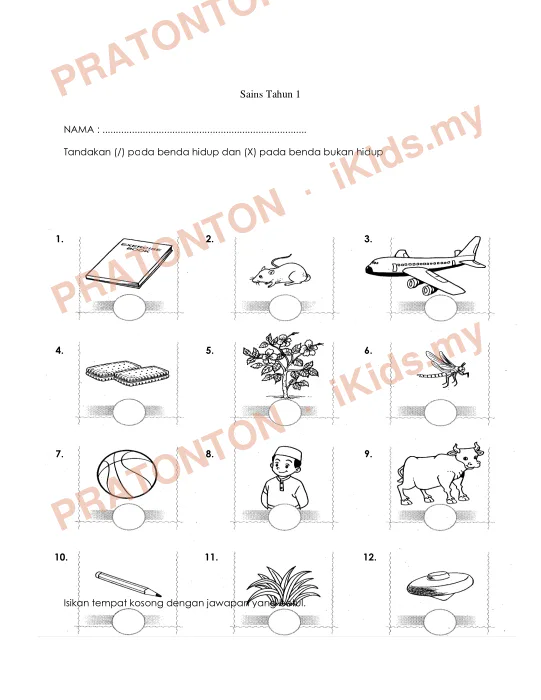 Pratonton muka 1 lembaran Sains Tahun 1 — Sains Tahun 1