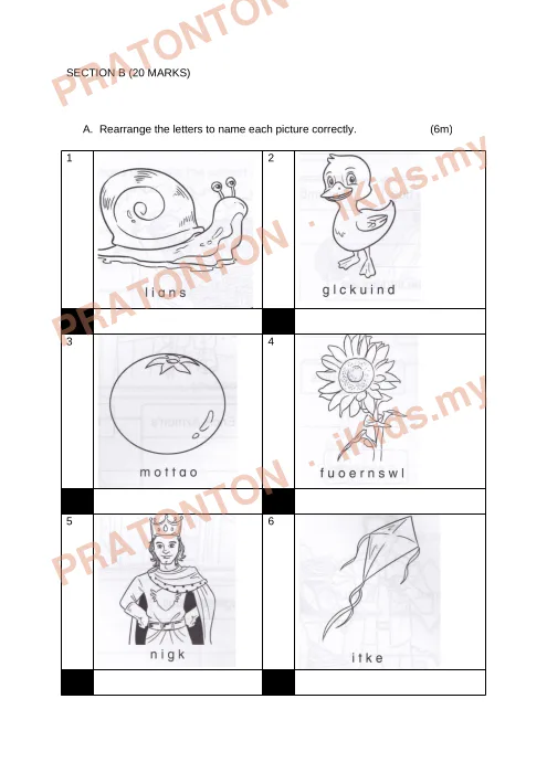 Pratonton muka 1 lembaran SECTION B (20 MARKS) — Bahasa Inggeris Tahun 2