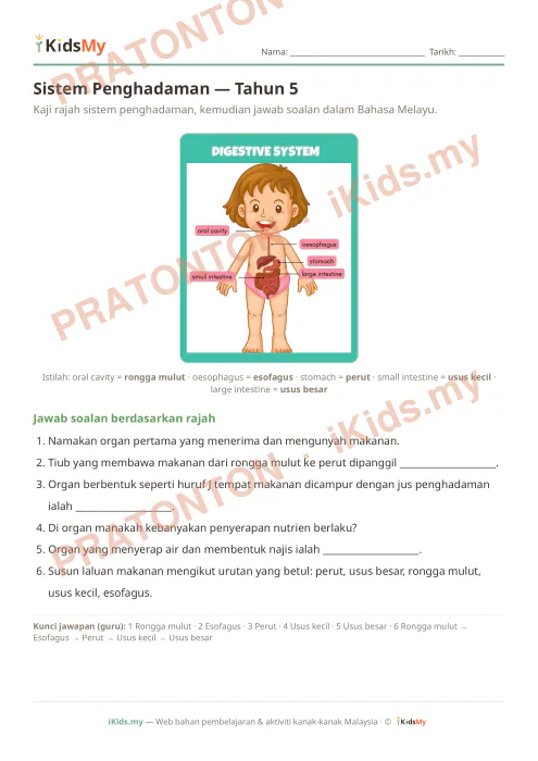 Pratonton muka 1 lembaran Sistem Penghadaman — Tahun 5 — Sains Tahun 5
