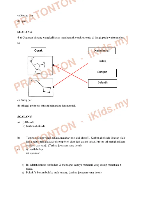 Pratonton muka 2 lembaran Skema Jawapan AR 3 2019 MGB Subis — Sains Kertas 2 — Sains Tahun 6