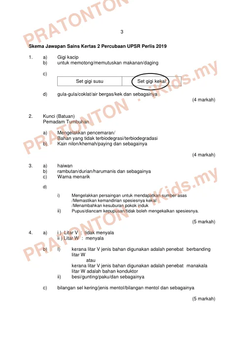 Pratonton muka 2 lembaran Skema Jawapan Percubaan UPSR Perlis 2019 — Sains Kertas 1 dan 2 — Sains Tahun 6
