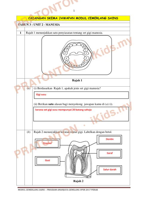 Pratonton muka 1 lembaran Skema Modul Cemerlang Sains Tahun 3 — Unit 2: Manusia — Sains Tahun 6