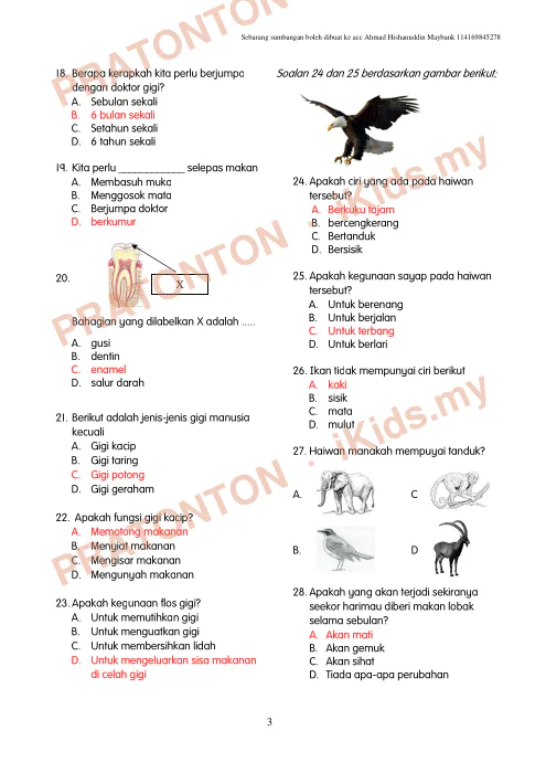 Pratonton muka 3 lembaran Soalan Sains — Sains Tahun 3