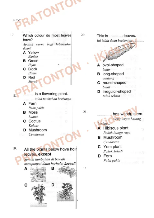 Pratonton muka 6 lembaran Soalan Sains — Sains Tahun 3