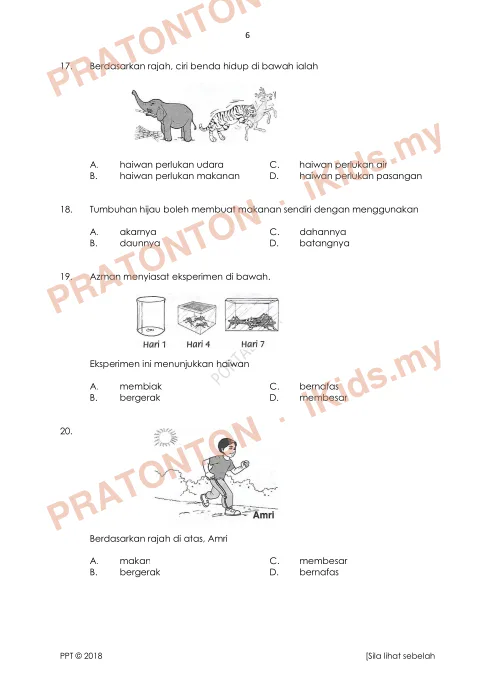 Pratonton muka 6 lembaran SULIT — Sains Tahun 1