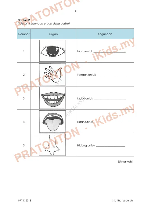 Pratonton muka 5 lembaran SULIT — Sains Tahun 1