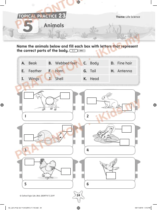 Pratonton muka 1 lembaran TOPICAL PRACTICE 23 — Sains Tahun 1