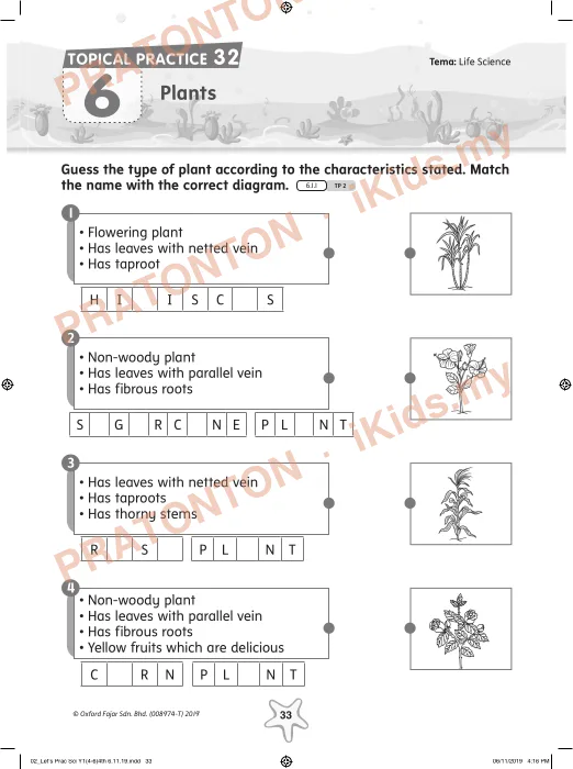 Pratonton muka 10 lembaran TOPICAL PRACTICE 23 — Sains Tahun 1