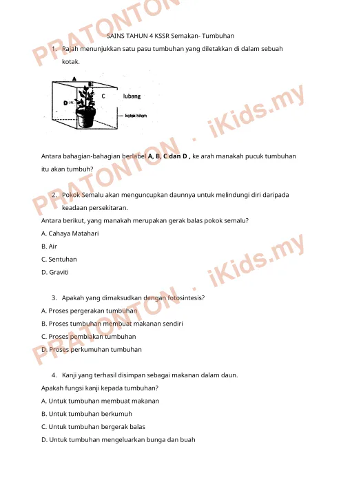 Pratonton muka 1 lembaran Tumbuhan — Sains Tahun 4