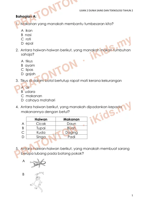 Pratonton muka 1 lembaran UJIAN 2 DUNIA SAINS DAN TEKNOLOGI TAHUN 2 — Sains Tahun 2