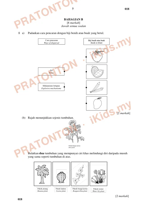 Pratonton muka 7 lembaran Ujian Akhir Sesi Akademik 2023/2024 — Sains Tahun 5 — Sains Tahun 5