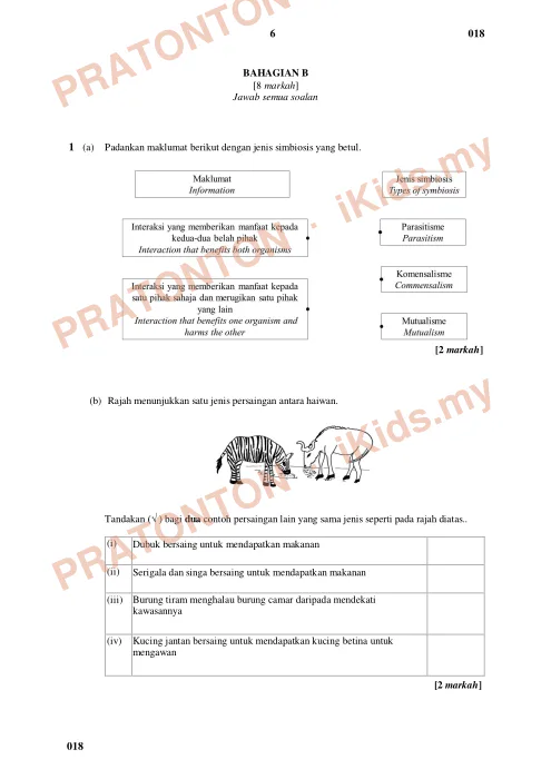 Pratonton muka 6 lembaran Ujian Akhir Sesi Akademik 2023/2024 — Sains Tahun 6 — Sains Tahun 6
