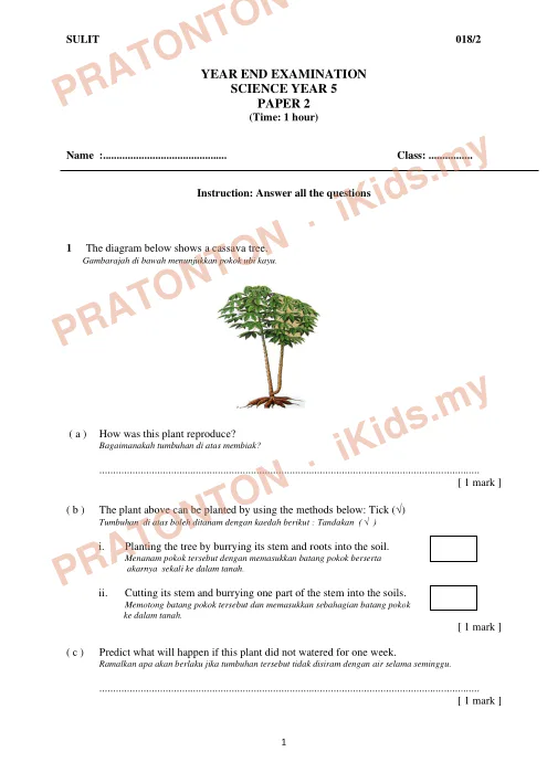 Pratonton muka 1 lembaran Ujian Akhir Tahun KSSR — Sains Tahun 5 Kertas 2 (Set 1, Bahasa Inggeris) — Sains Tahun 5