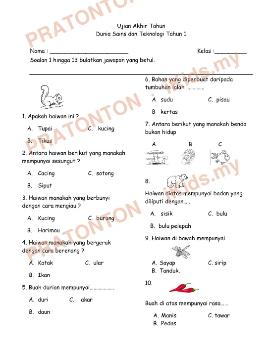 Pratonton muka 1 lembaran Ujian Akhir Tahun — Sains Tahun 1