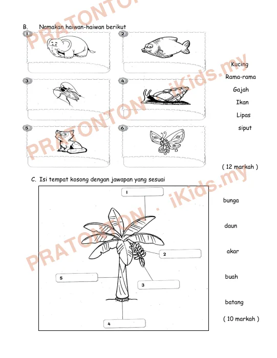 Pratonton muka 3 lembaran Ujian Akhir Tahun — Sains Tahun 1
